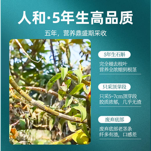 【杞里香铁皮石斛茶枫斗250g】干条霍山礼盒装鲜干条优选顶芽，胶多渣少礼盒礼盒新年礼品送礼新年礼盒 商品图5