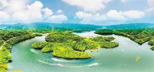 重庆石柱“民渝合作”  结出累累硕果 商品图0