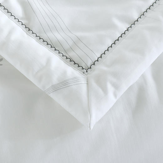 【紫韵家纺】蝶恋舞牛奶蛋白被形象蓝色方型盒 商品图5