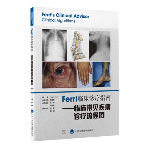 Ferri 临床诊疗指南——临床常见疾病诊疗流程图  主译：冯黎　刘岗  北医社 商品图0