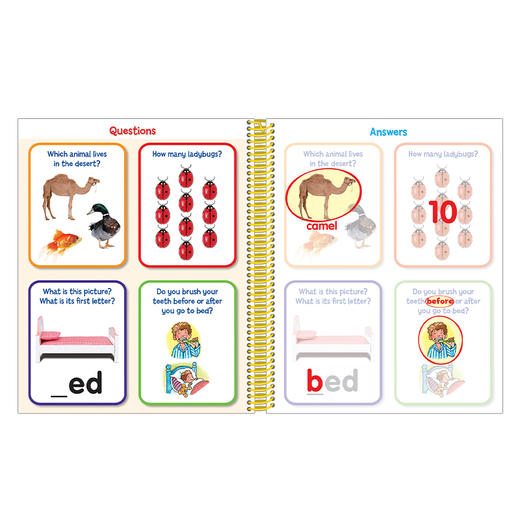 神奇的大脑 商品图4