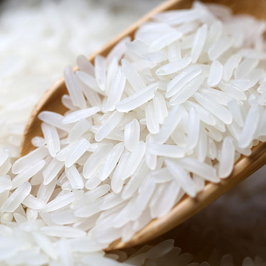 （乡村振兴商品）什湖知音江南丝苗米 5kg 商品图0