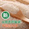 （乡村振兴商品）什湖知音江南丝苗米 5kg 商品缩略图7