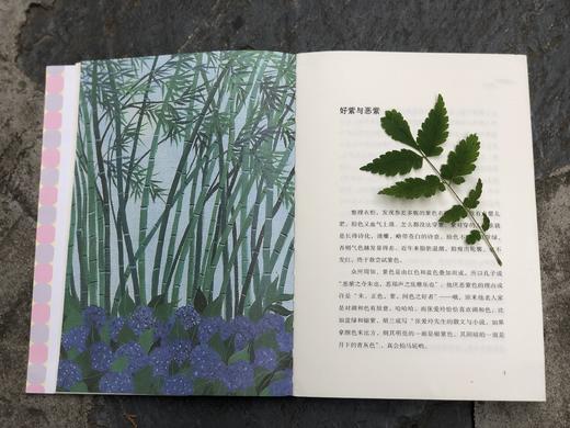 【签名本】《各自爱》 商品图1