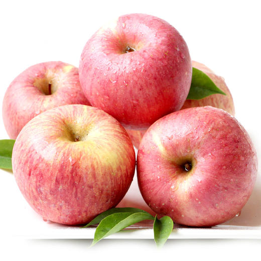 黄土情 延安山地18头苹果 85-90果 商品图5