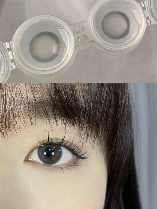 年抛 (原名DK) Deekay G308 14.2 商品图1