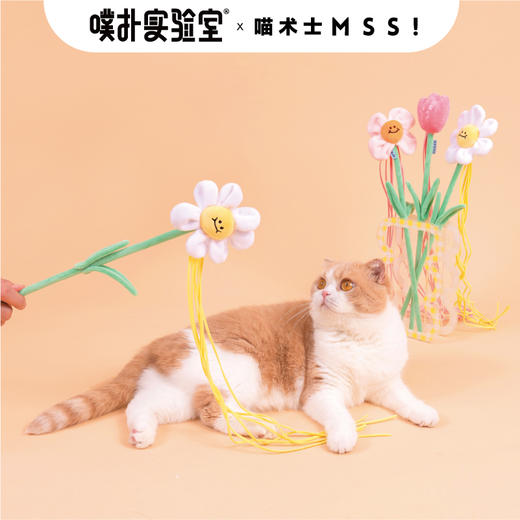 PurLab噗扑实验室逗猫棒花花fafa猫咪玩具自嗨耐咬猫薄荷 商品图1