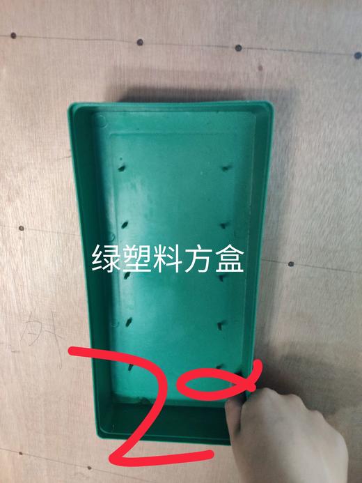 绿塑料方盒 商品图0