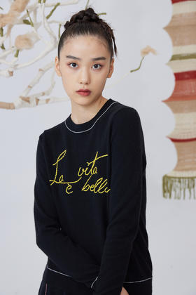  手工绣花圆领羊绒针织女套衫 SJF92W205A