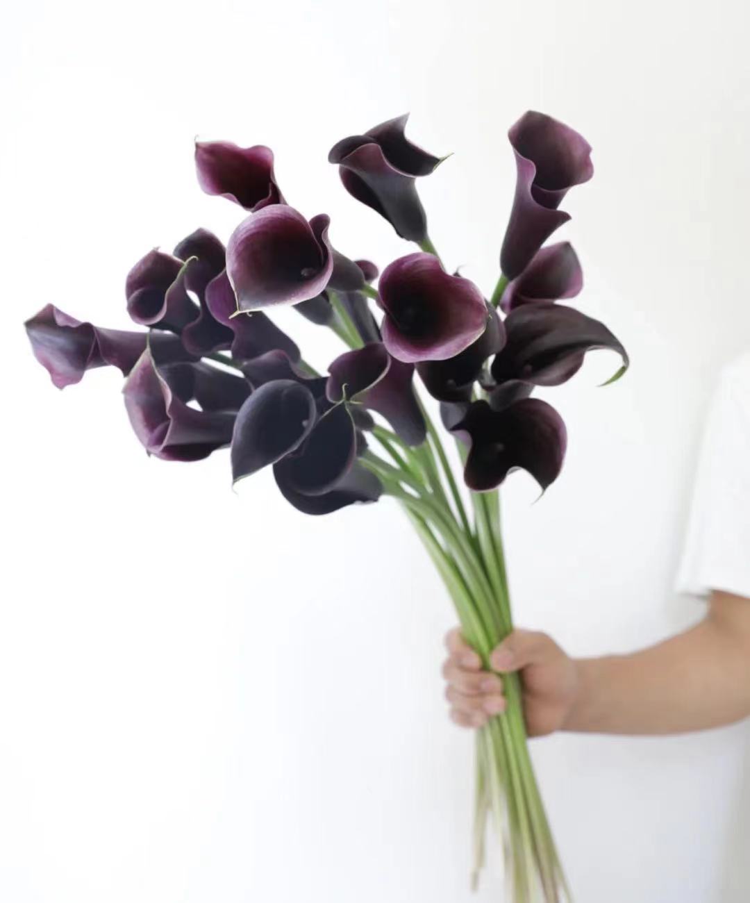 【马蹄莲】国产 （黑洞）黑紫色  5枝/扎