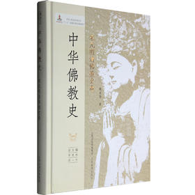 正版包邮 中华佛教史 宋元明清佛教史卷 季羡林汤一介主编  品质保证