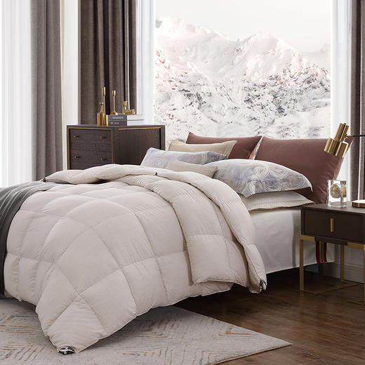 黑金奢享加拿大鹅绒冬被 商品图1