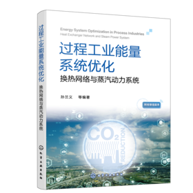 过程工业能量系统优化 孙兰义