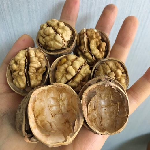 新疆阿克苏185一级真正纸皮核桃 3/5斤装 商品图6