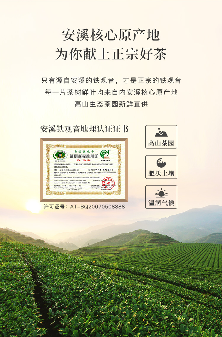 八马茶业清香铁观音茶叶小清新1号礼盒装252g
