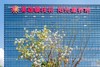 攀枝花奏响“健康中国”强音 商品缩略图1