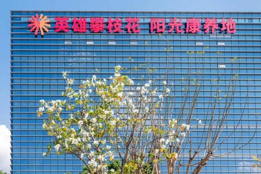 攀枝花奏响“健康中国”强音 商品图1