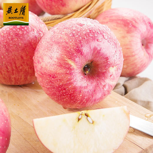黄土情 延安山地18头苹果 85-90果 商品图2