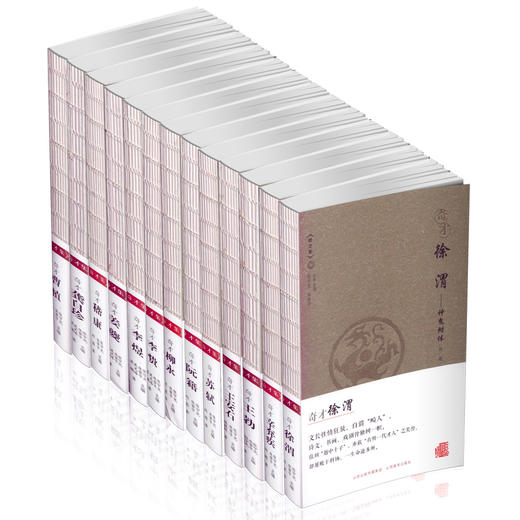 正版13册包邮 奇才集 苏轼 李贽 阮籍 嵇康 李煜 柳永 辛弃疾 讲述诗人传奇的人生与作品 古人名录 文学艺术的融合 中国古代文学史 商品图2