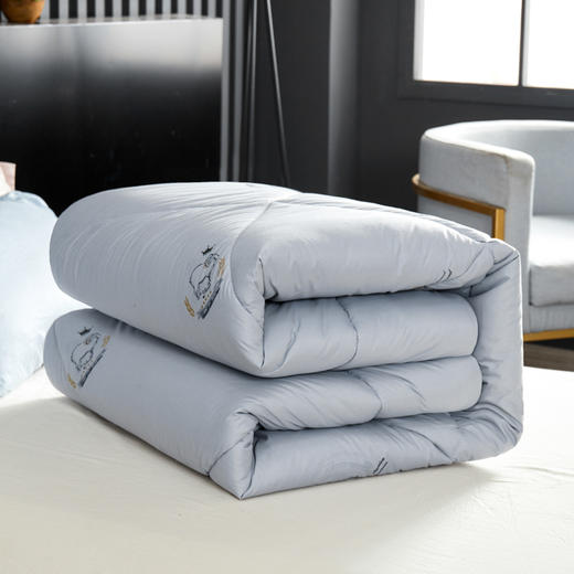 惠慈家居 生态羊毛被 磨毛生态棉面料 200-230cm柔软舒适透气羊毛生态纤维被子HC--1YM2043 商品图0