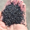 【天然黑芝麻】(自然生长、不施化肥、不打农药、最新鲜秋获)需要熟的需备注 商品缩略图0