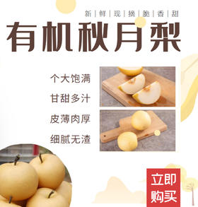有机秋月梨（顺丰包邮）