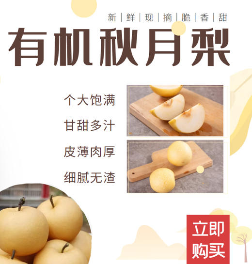 有机秋月梨（顺丰包邮） 商品图0