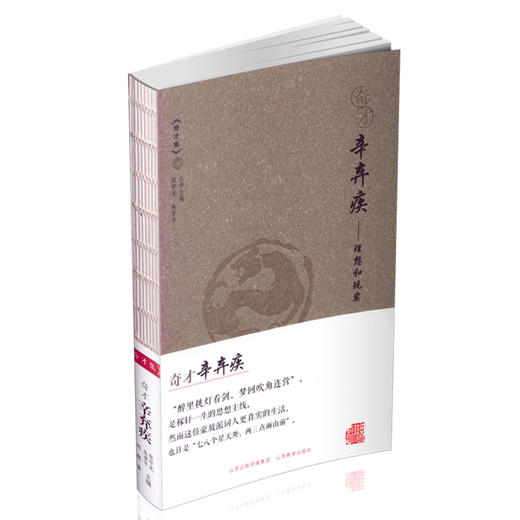 《奇才集》奇才辛弃疾 豪放派词人 古典诗词 中考高考作文写作阅读素材 诗词中国古代文学史 商品图0