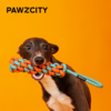 PAWZCITY都市霓红绳结玩具 商品缩略图0