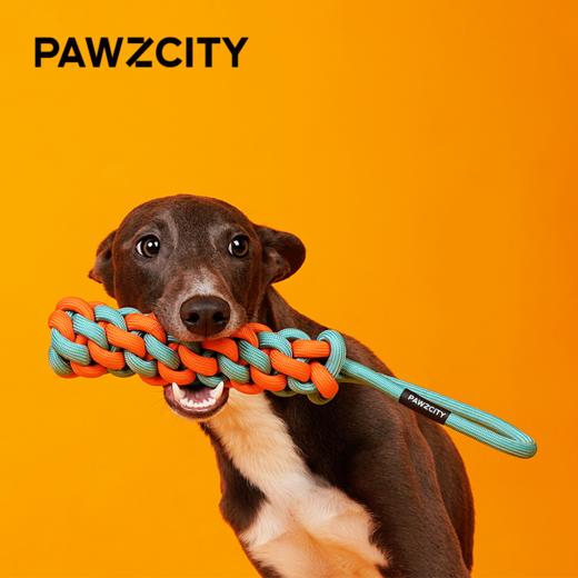 PAWZCITY都市霓红绳结玩具 商品图0