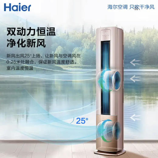 海尔（Haier）空调KFR-72LW/12LBA81VU1(金) 商品图4