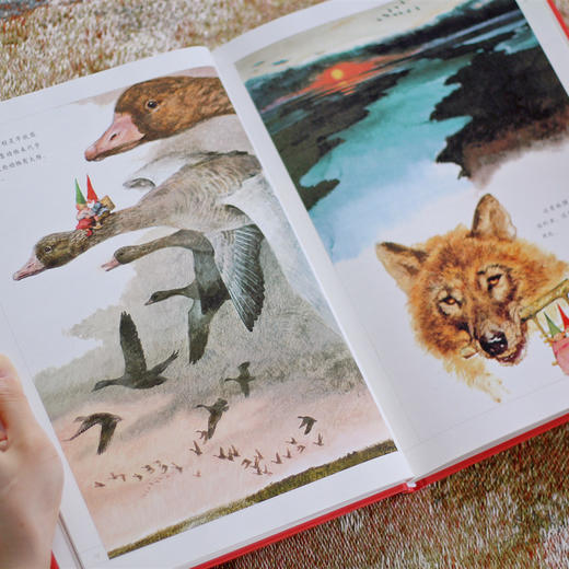 《小矮人》丨一本和"小王子"一样温暖心灵的书 商品图7