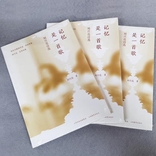 记忆是一首歌 刘兴亮 首部诗集 商品图3