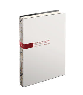 中国现代通俗小说史略