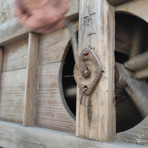 【天然黑芝麻】(自然生长、不施化肥、不打农药、最新鲜秋获)需要熟的需备注 商品图1