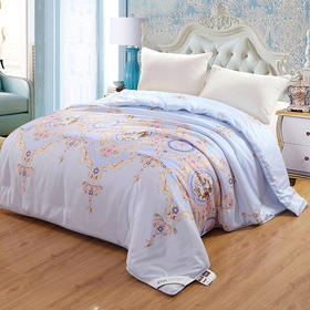 【紫韵家纺】莱赛尔金典蚕丝被形象银色方形盒