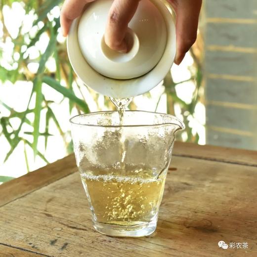 彩农茶｜林栖谷隐生砖 商品图3