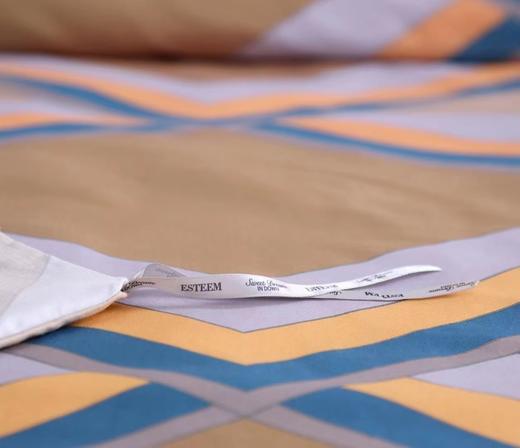 【6F】宜庭｜赫尔德全面四件套200/220 商品图3