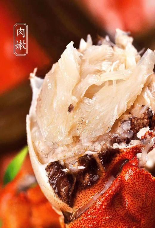 阳澄湖大闸蟹【阳澄半岛】【龙菲精选】 商品图6