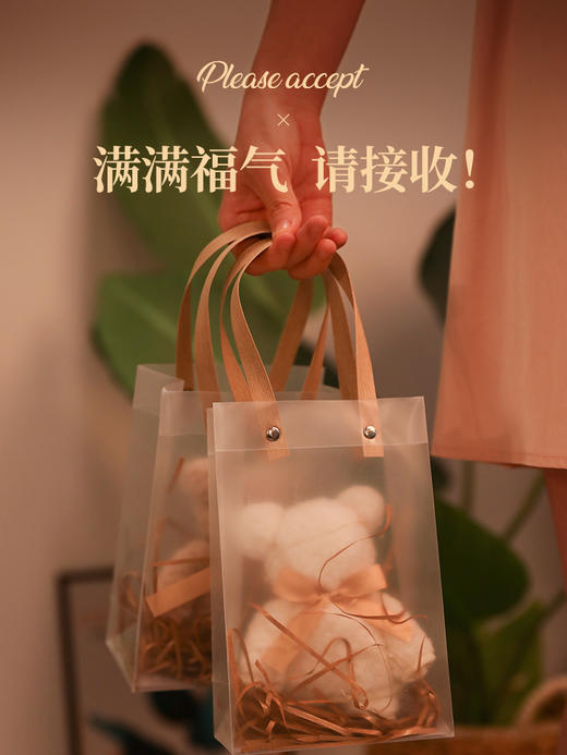 毛毛雨 礼袋装经编菠萝格珊瑚绒单条装毛巾 商品图1