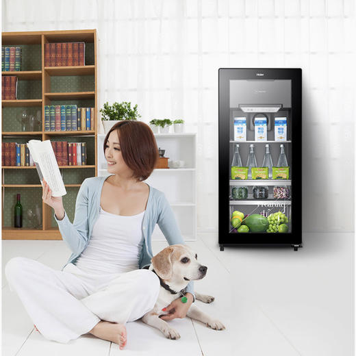 海尔（Haier）冰吧 LC-121D（墨晶黑） 商品图8