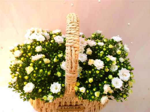 丹麦风铃二选一 商品图7