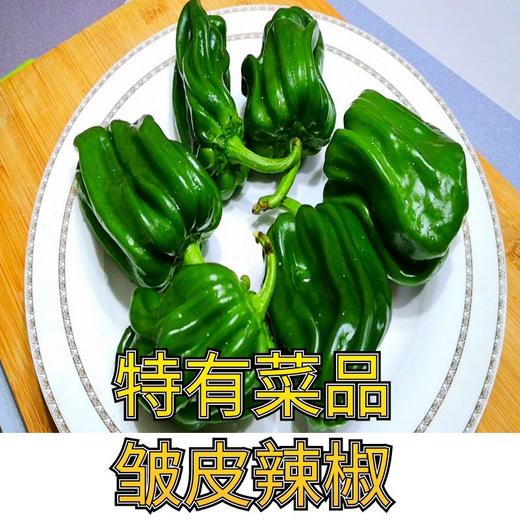 8元/斤新鲜云南皱皮菜椒麻椒