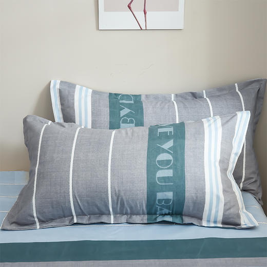 【紫韵家纺】“青春如歌”经典四件套（条纹）形象绿色天地盒 商品图6