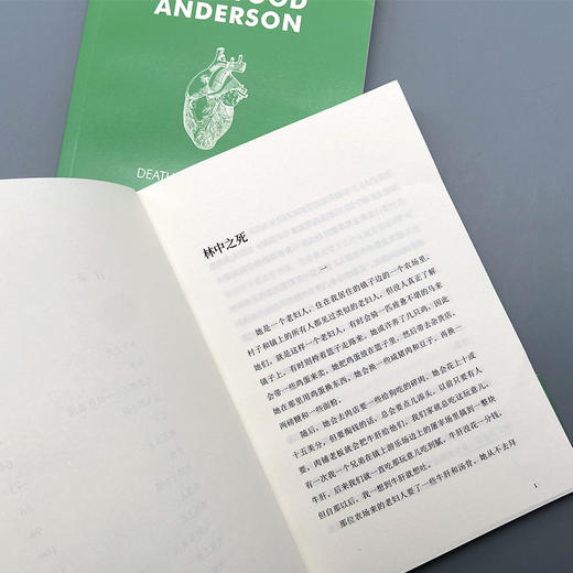 林中之死（舍伍德·安德森作品集）3001110 商品图4