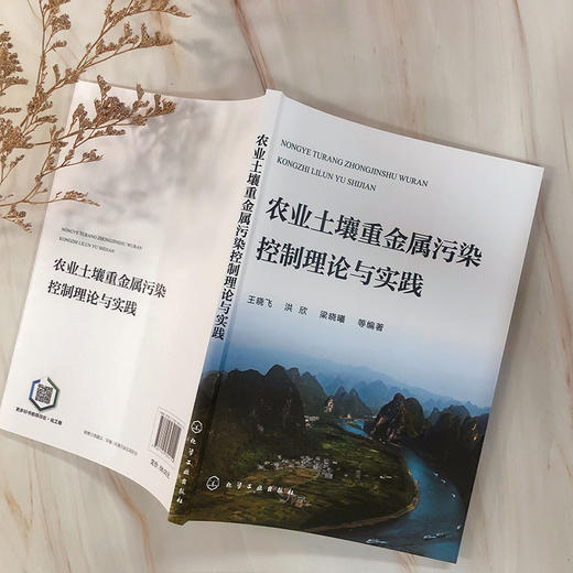 农业土壤重金属污染控制理论与实践 商品图3