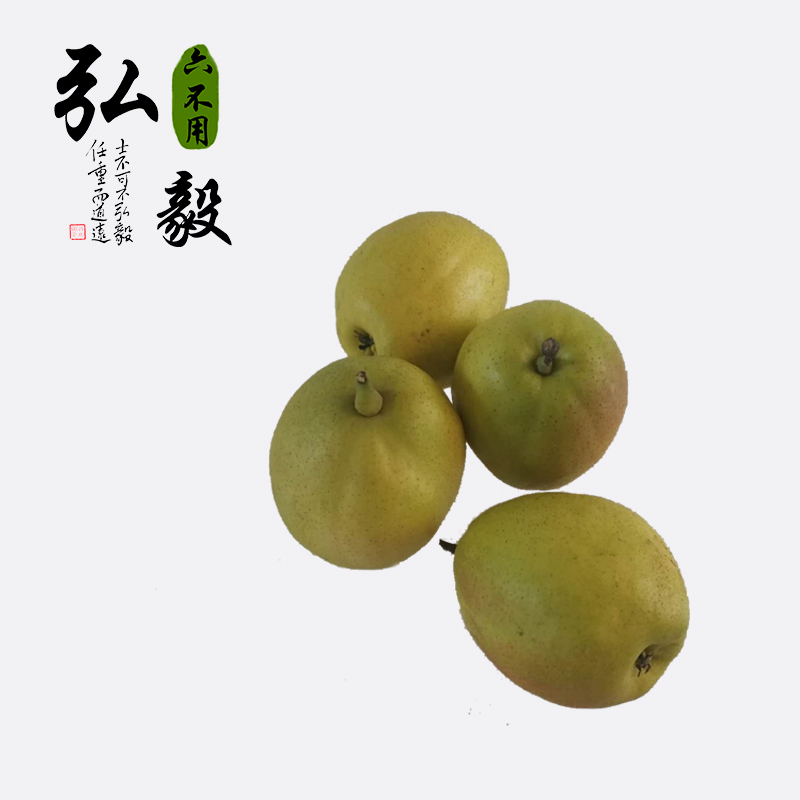 【弘毅六不用生态农场】六不用 新疆库尔勒香梨 不套袋 5斤