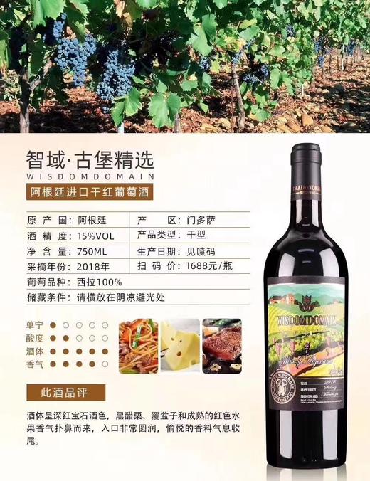 【阿根廷原瓶原装】智域古堡精选西拉干红 商品图0