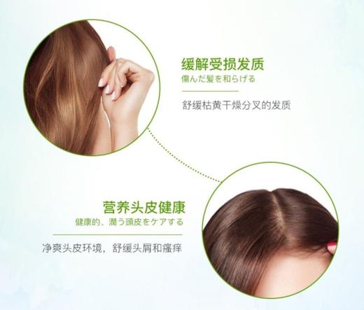 奥丽肤无硅油洗发水+护肤素 兲然橄榄油成分 孕妇宝宝都可用｜推崇自然之美 优选植物原料 平衡水油 滋养头发头皮 不假滑 柔嫩顺滑 盈亮秀发 摆脱毛躁 强韧发质 500ml家庭装 商品图5