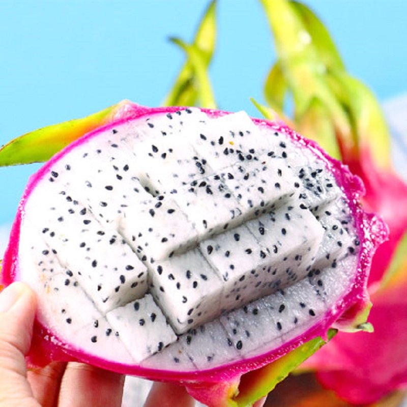 白肉火龙果 果肉厚实 鲜甜诱人 10左右/件